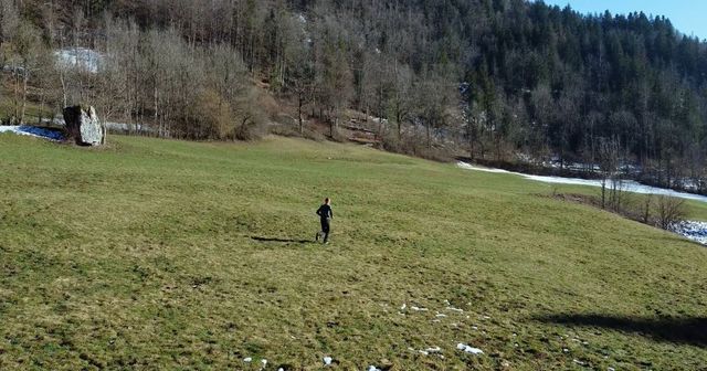 Trail